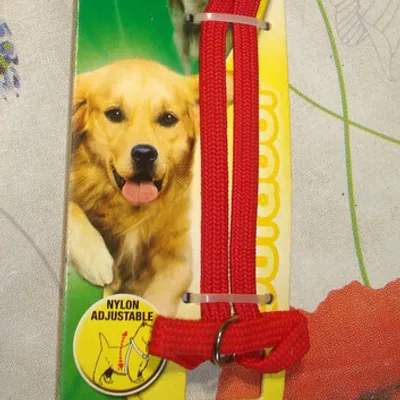 harnais petit chien type chihuahua ajustable